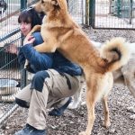 Iliana ( our Vet )